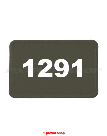 Patch <br><b>1291</b> - Image 4