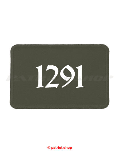 Patch <br><b>1291</b> - Image 3