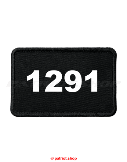 Patch <br><b>1291</b> - Image 2