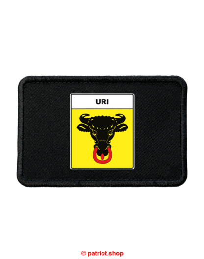 Patch <br><b>Kantone</b>