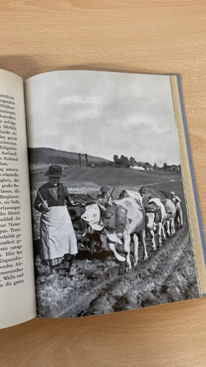 Buch <br><b>"Meine Heimat" - Antikes Buch der Gemeinde Wettingen, Aargau</b> - Image 6