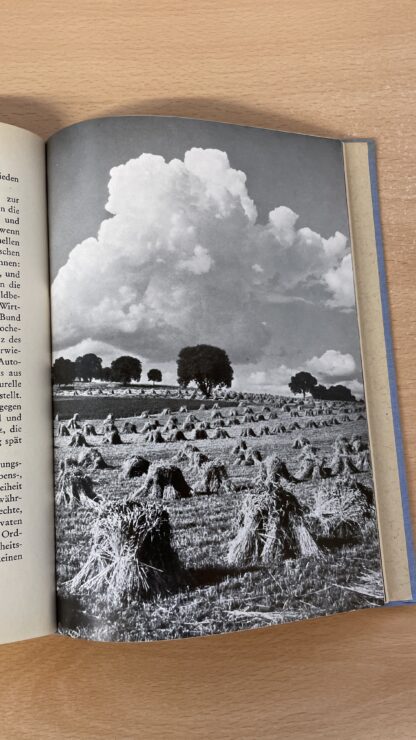 Buch <br><b>"Meine Heimat" - Antikes Buch der Gemeinde Wettingen, Aargau</b> - Image 8