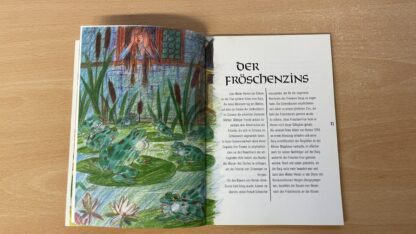 Buch <br><b>Sagen aus dem Kanton Zürich - Spannende Geschichten!</b> - Image 8