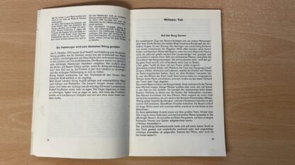 Buch <br><b>Sagen aus dem Kanton Zürich - Spannende Geschichten!</b> - Image 7