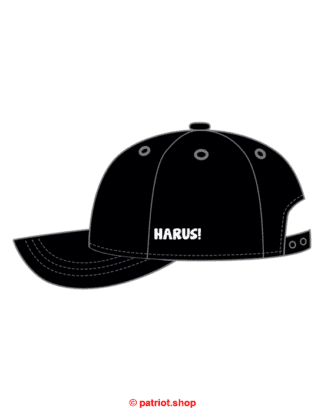 Seitendruck <br><b>HARUS!</b>